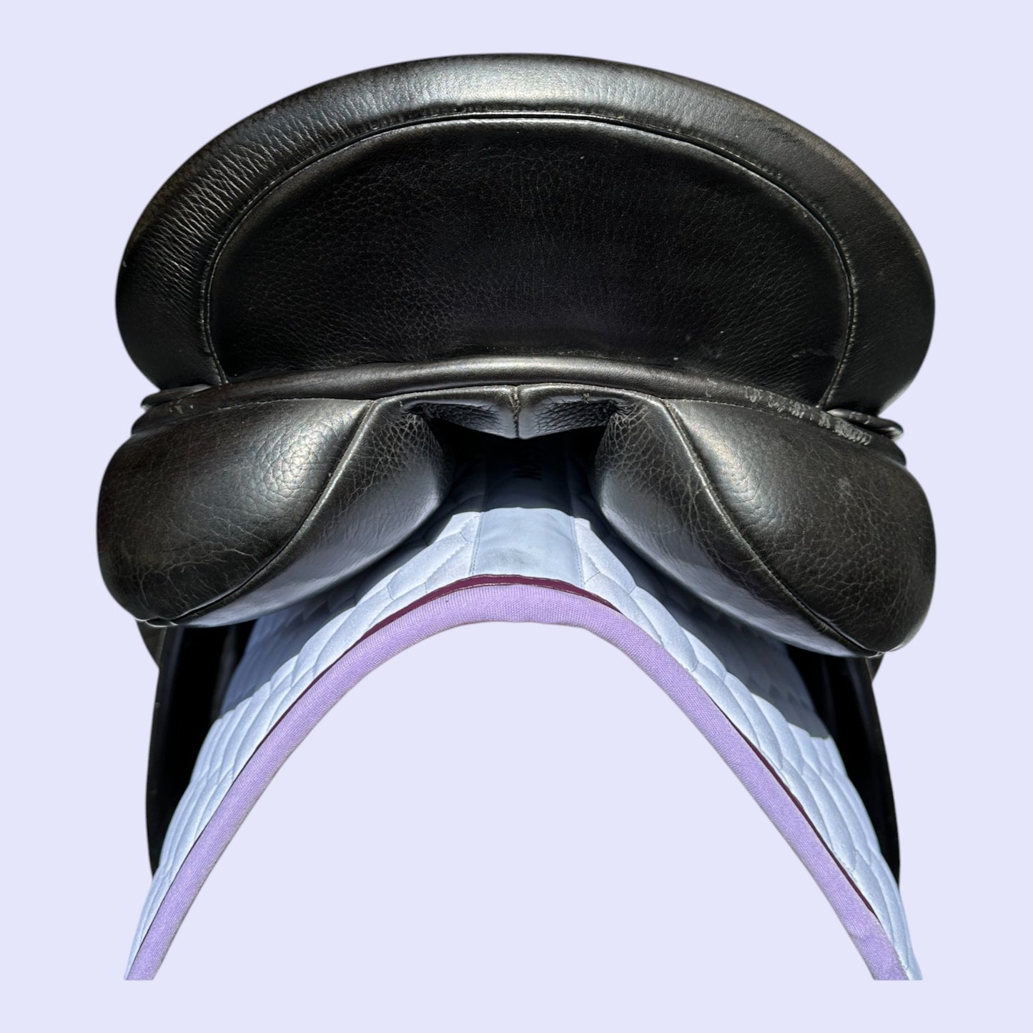 County Perfection Dressage 18" W