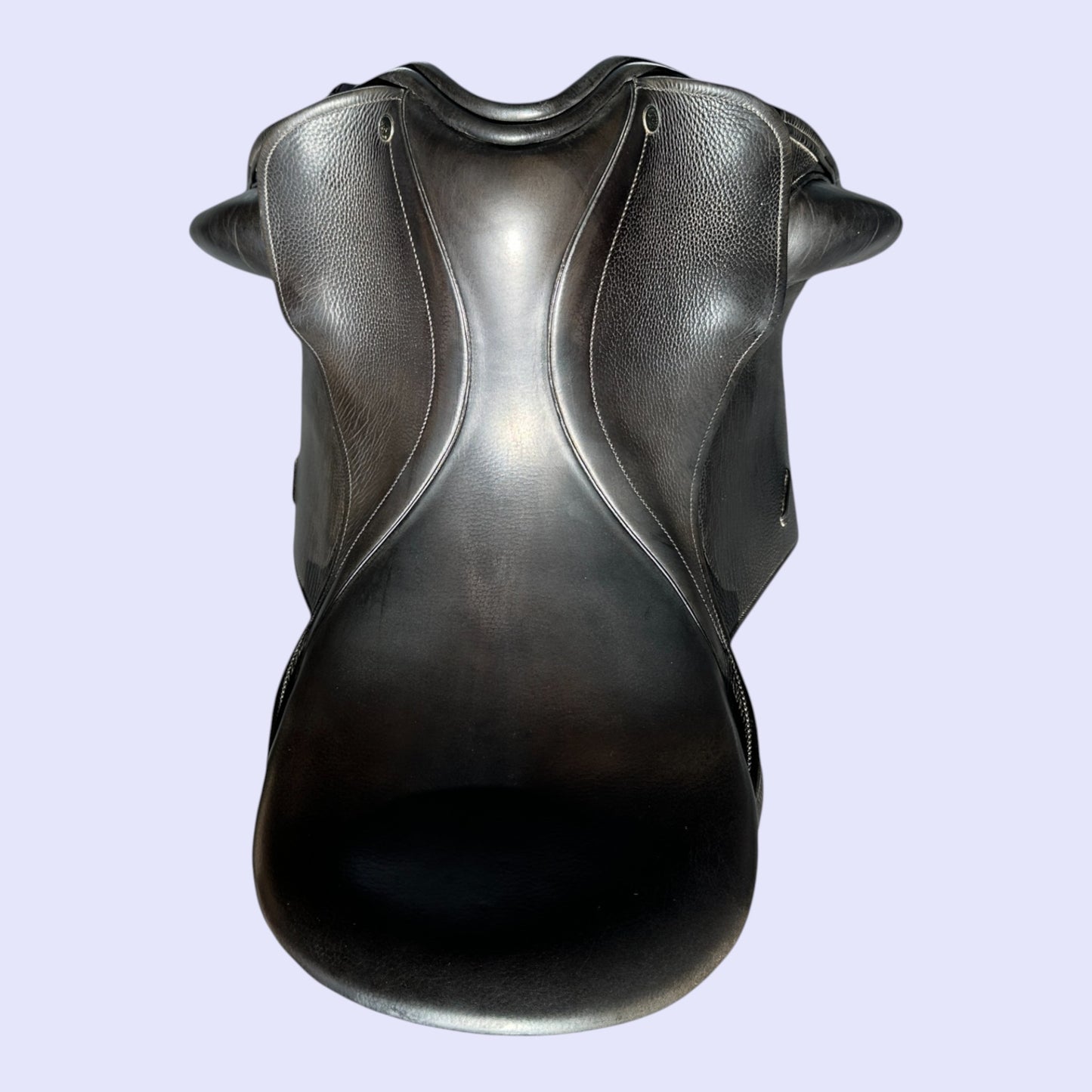County Perfection Dressage 18" W