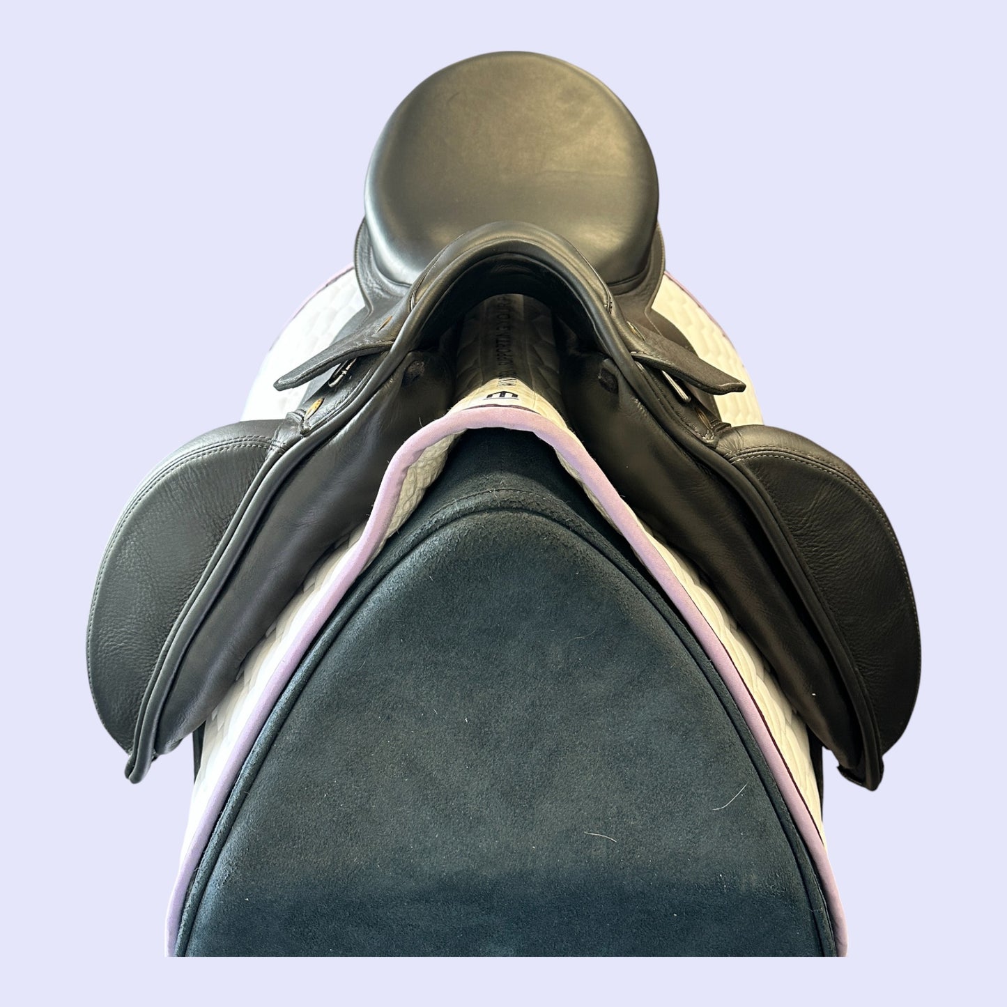 Prestige Passion K Dressage 17" 34
