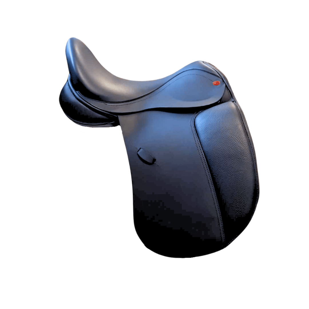 NSC Libero Dressage
