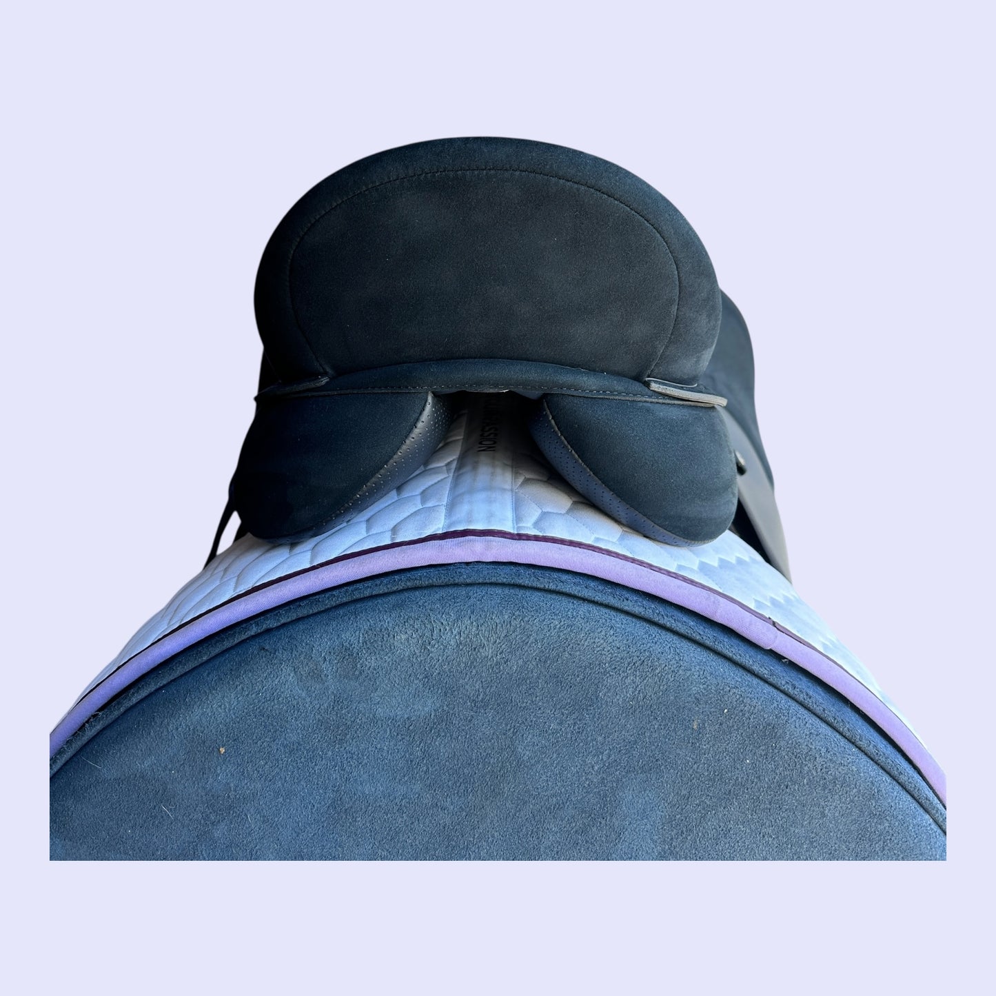 Wintec 2000 High Wither All Purpose 17"