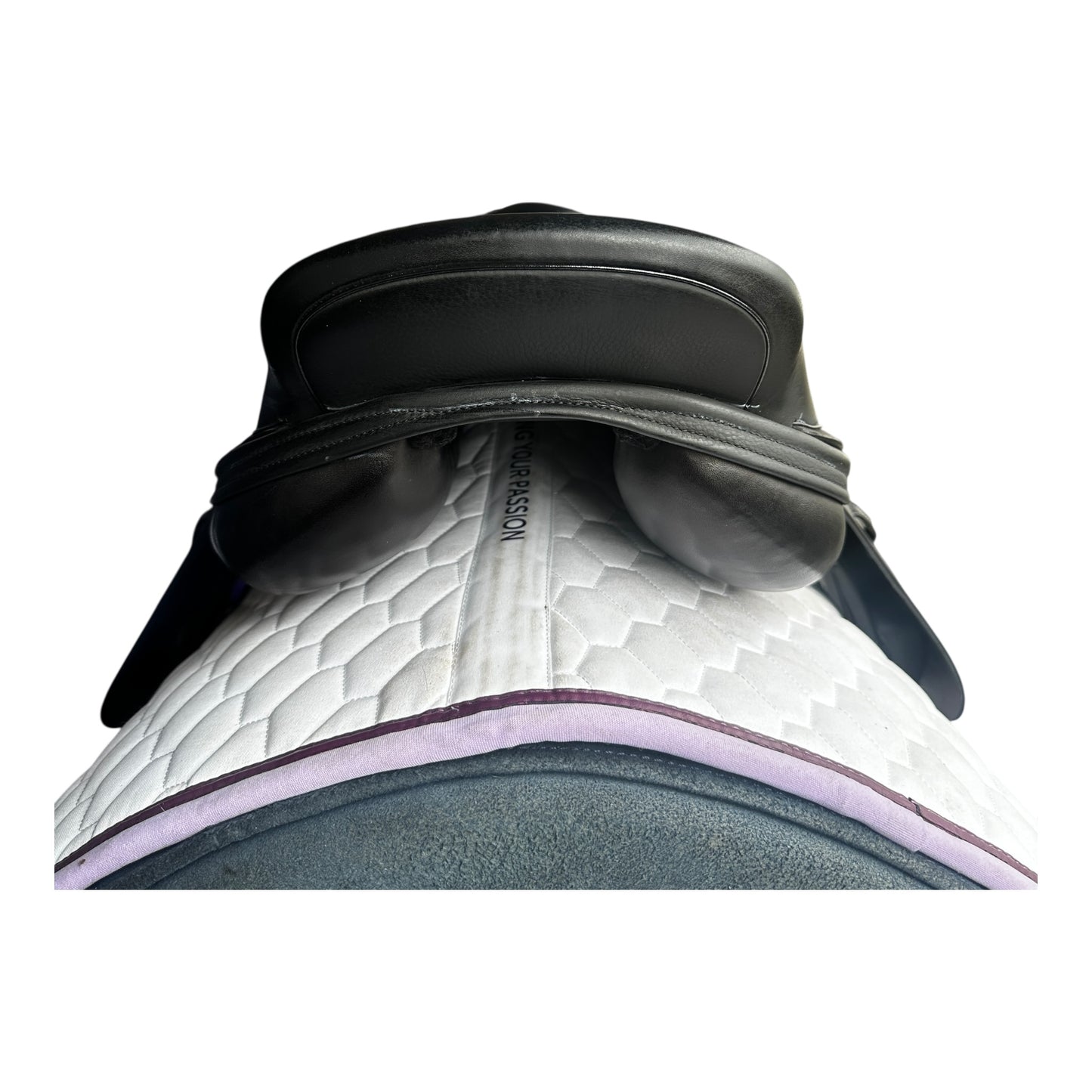 Harry Dabbs Future GP 17" W (IB)