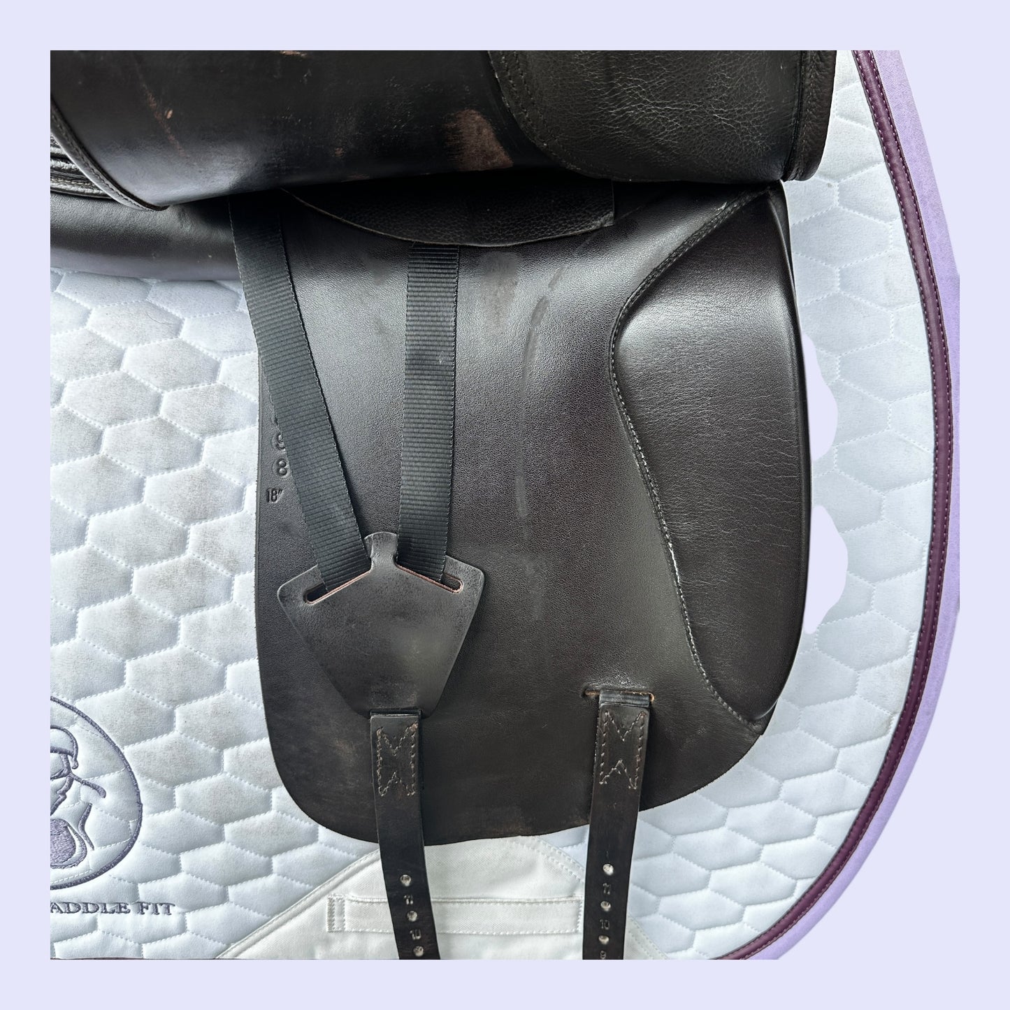 Harry Dabbs Elegant Dressage 18” MW (DJ)