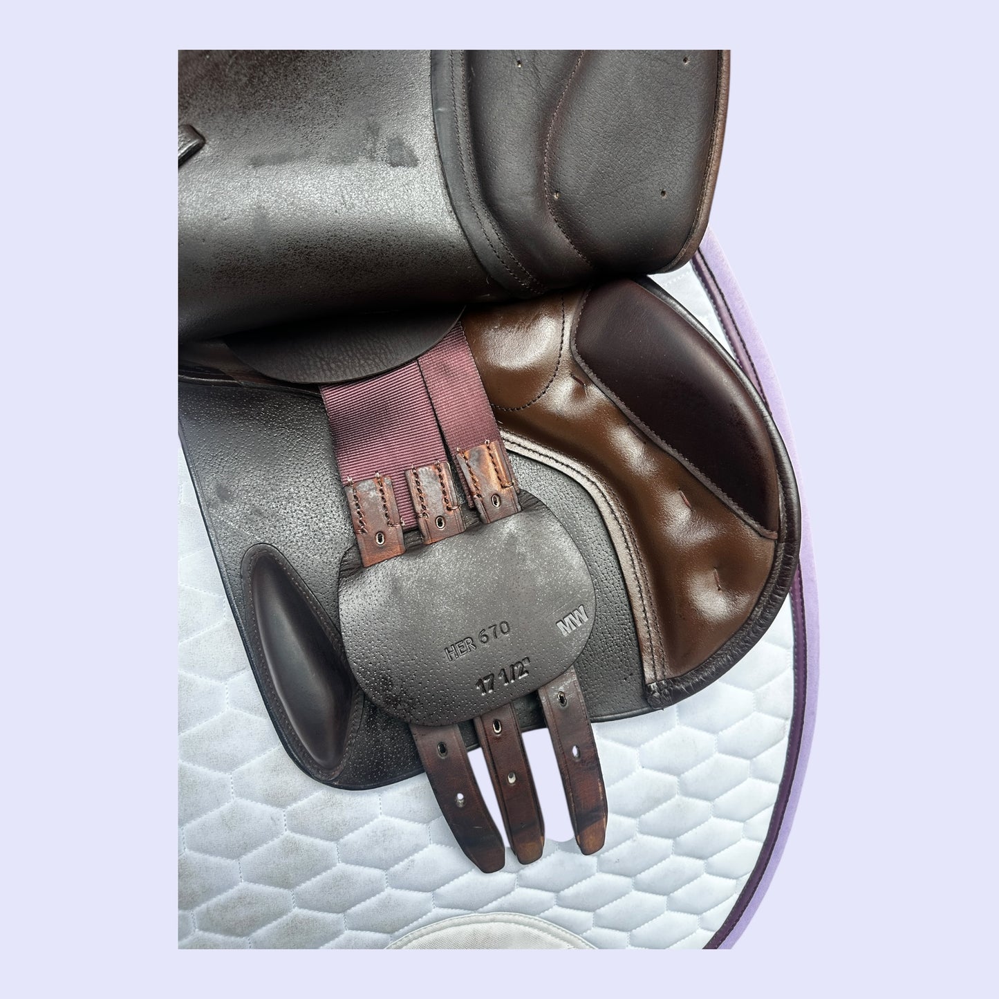 Trainers Regency 17.5" MW