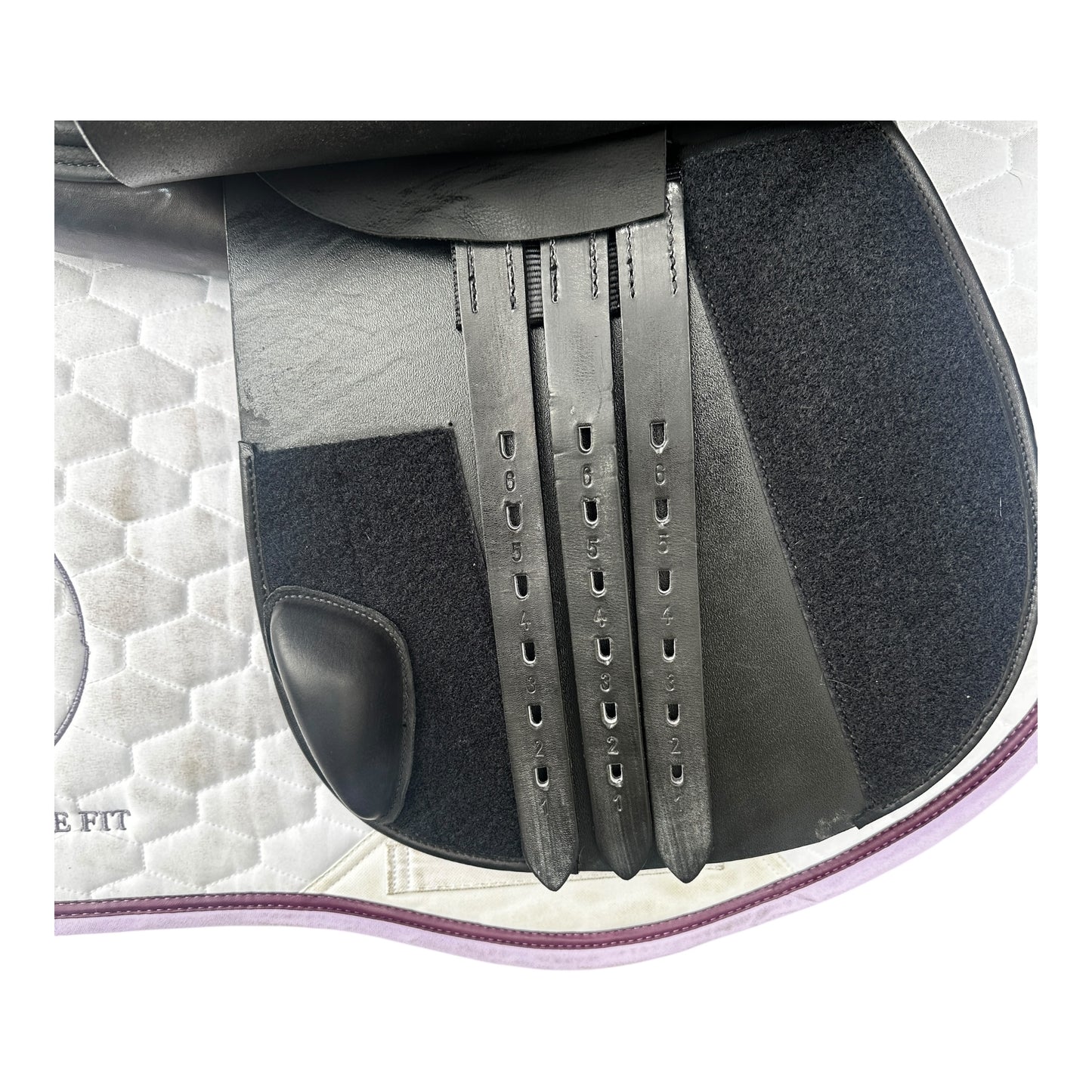 Harry Dabbs Future GP 17" W (IB)