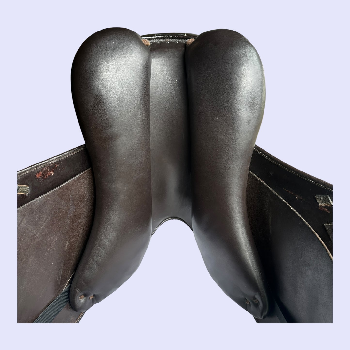 Harry Dabbs Elegant Dressage 18” MW (DJ)