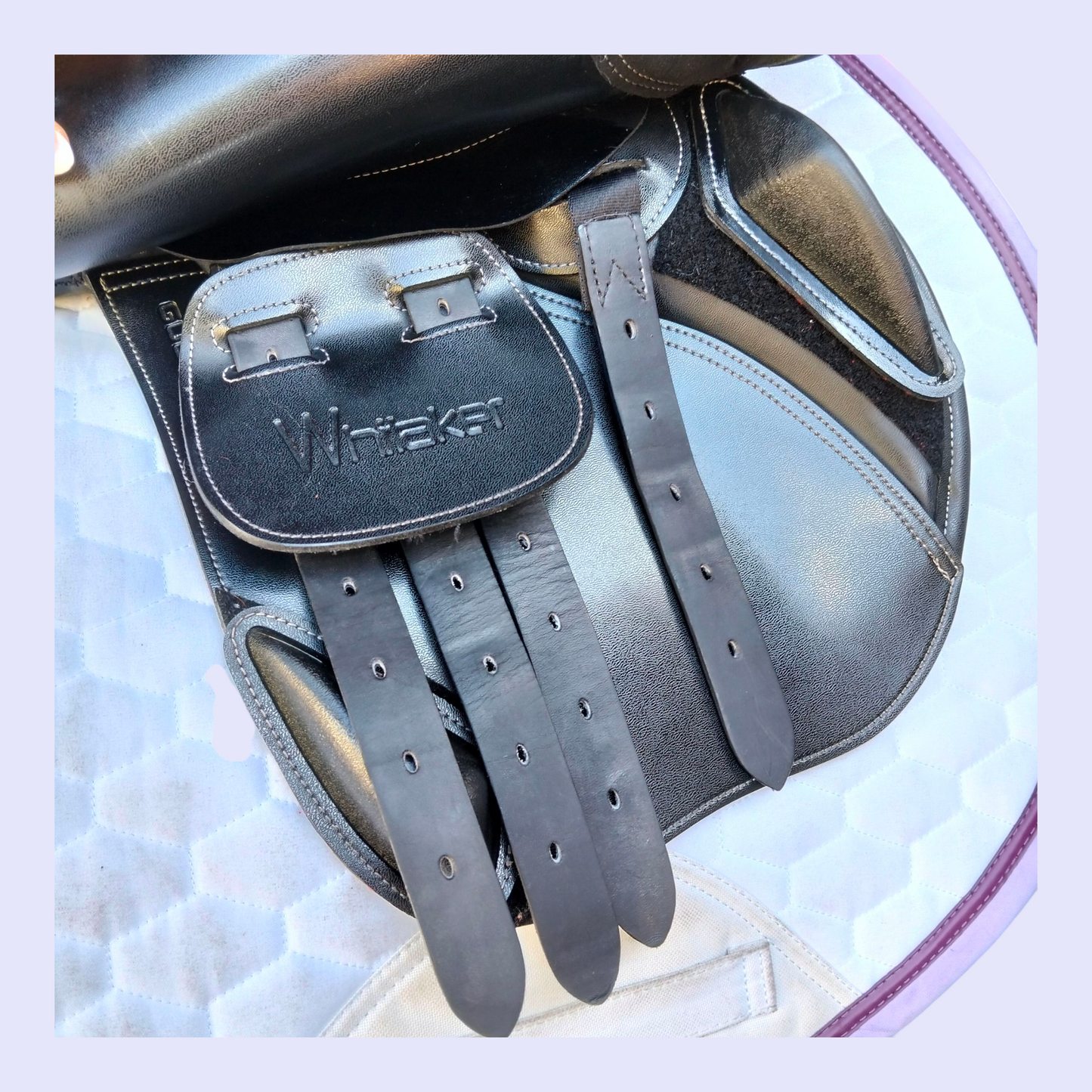 Whitaker Barnsley Pony Jump/GP 15"