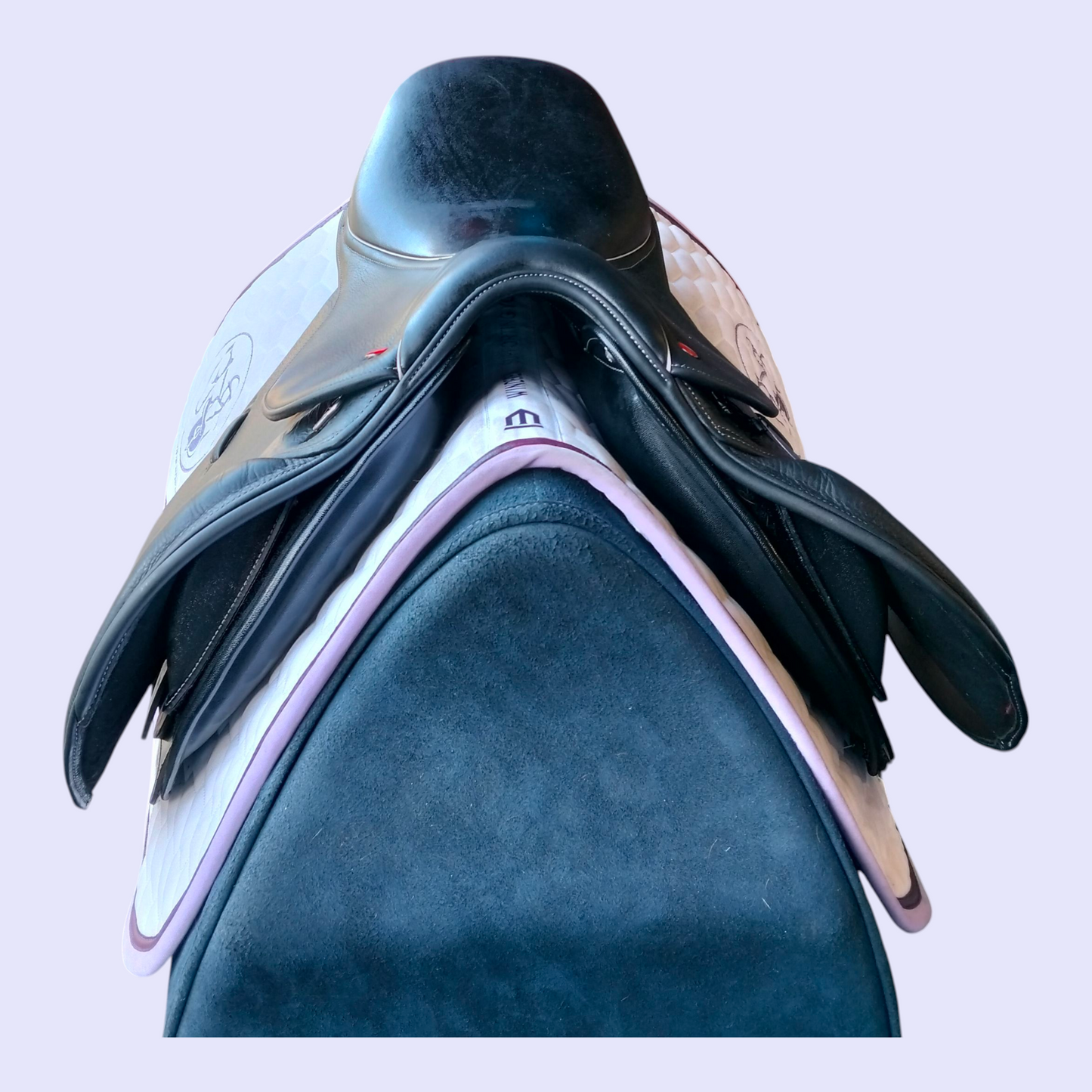 Whitaker Barnsley Pony Jump/GP 15"