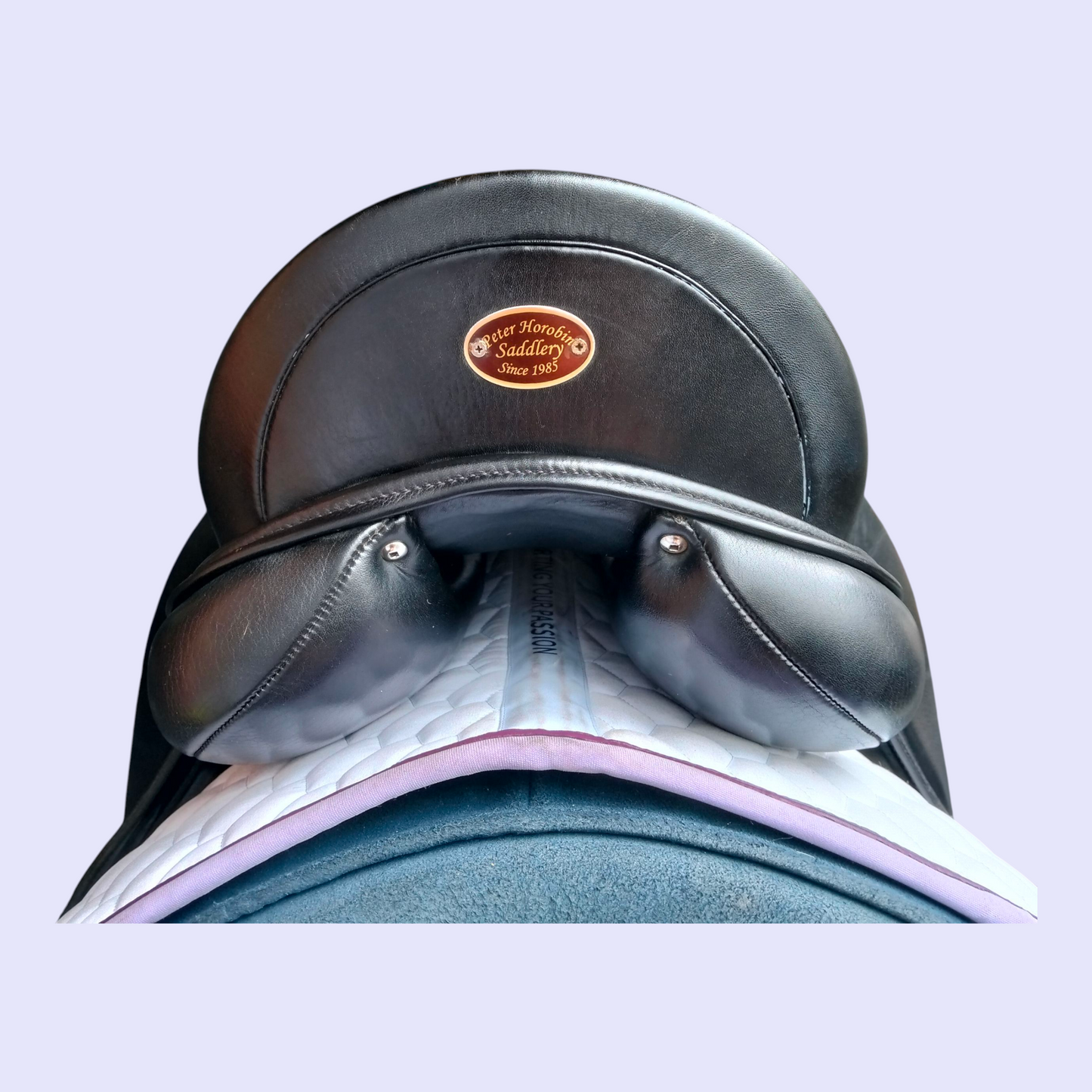 Peter Horobin Geneva Dressage 17.5" M