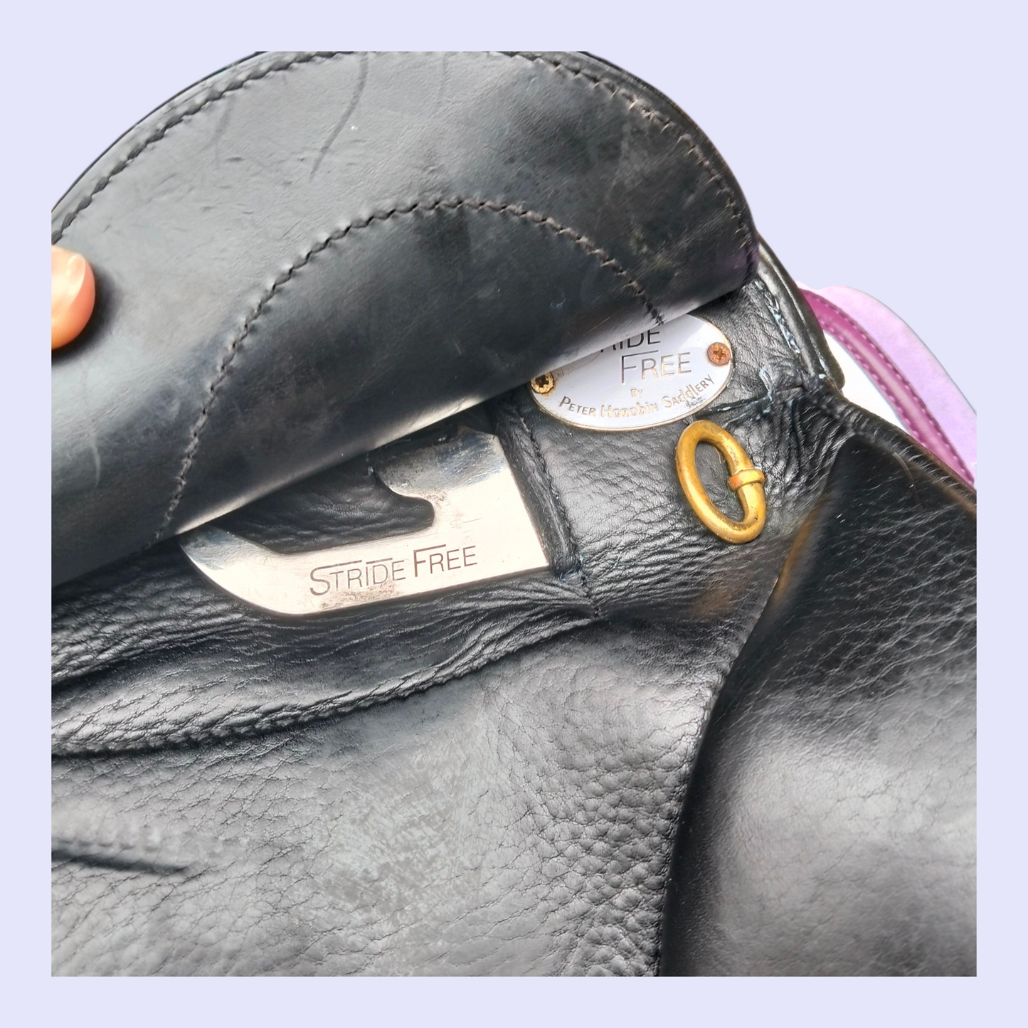 Peter Horobin Geneva Dressage 17.5" M