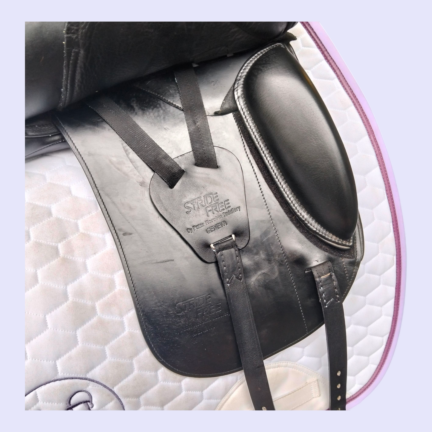 Peter Horobin Geneva Dressage 17.5" M