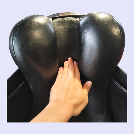 Peter Horobin Geneva Dressage 17.5" M