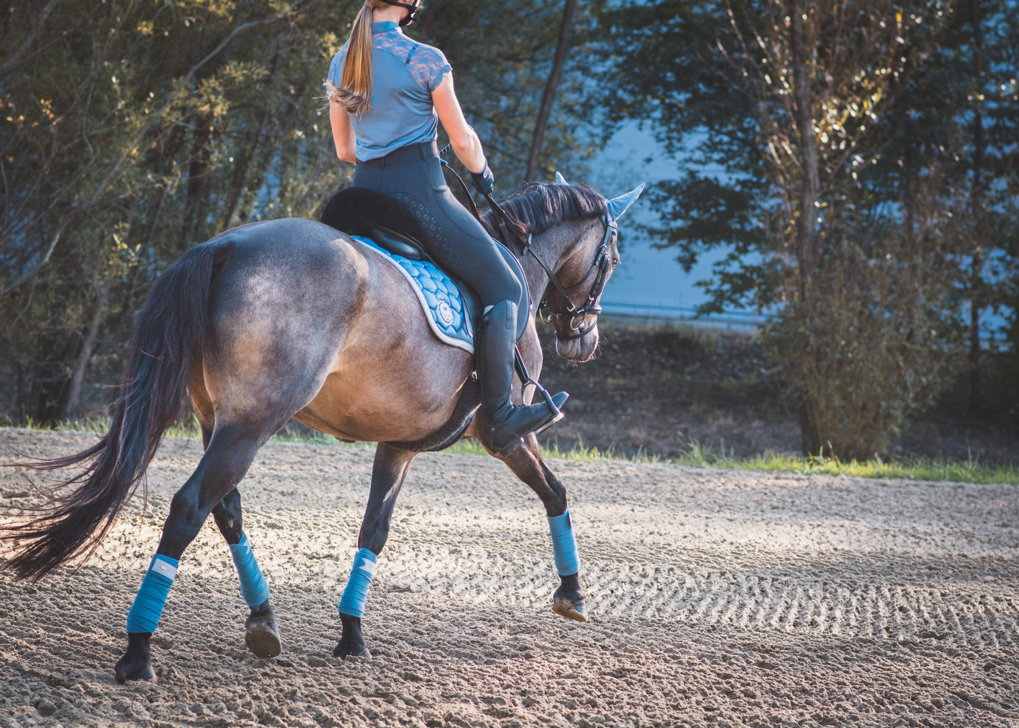 GP Saddles