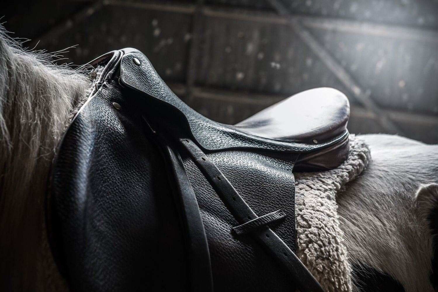 Close-up of a leather saddle on a horse with a dark background