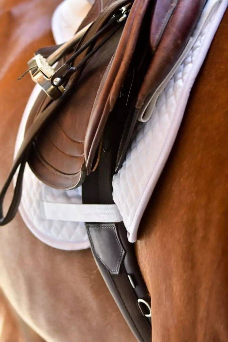 ThinLine Anatomic Jump Girth